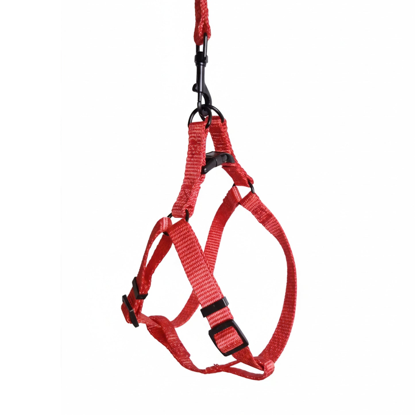 ARNES Y CORREA EN REATA SALMON