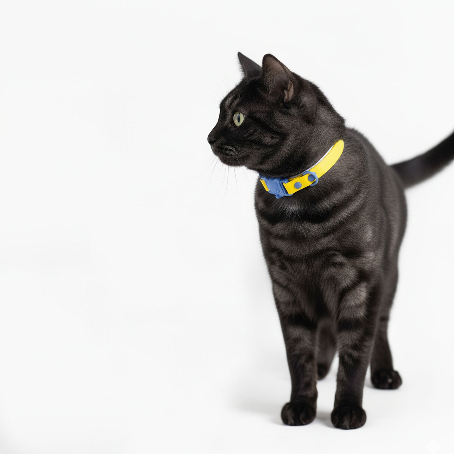 COLLAR CON SUELTE RÁPIDO AMARILLO