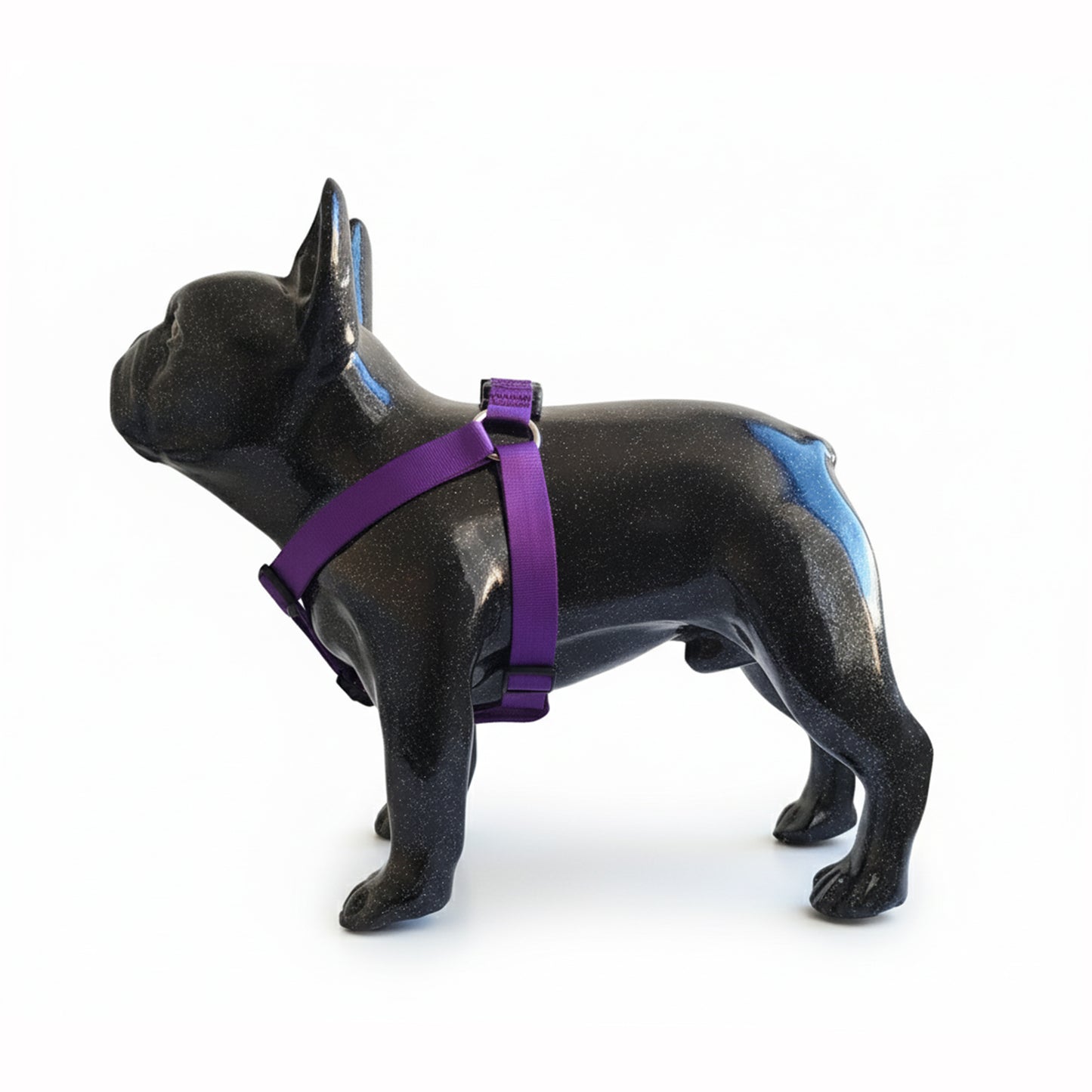 ARNES EN REATA MORADO