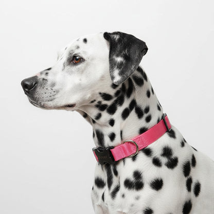 COLLAR EN REATA FUCSIA