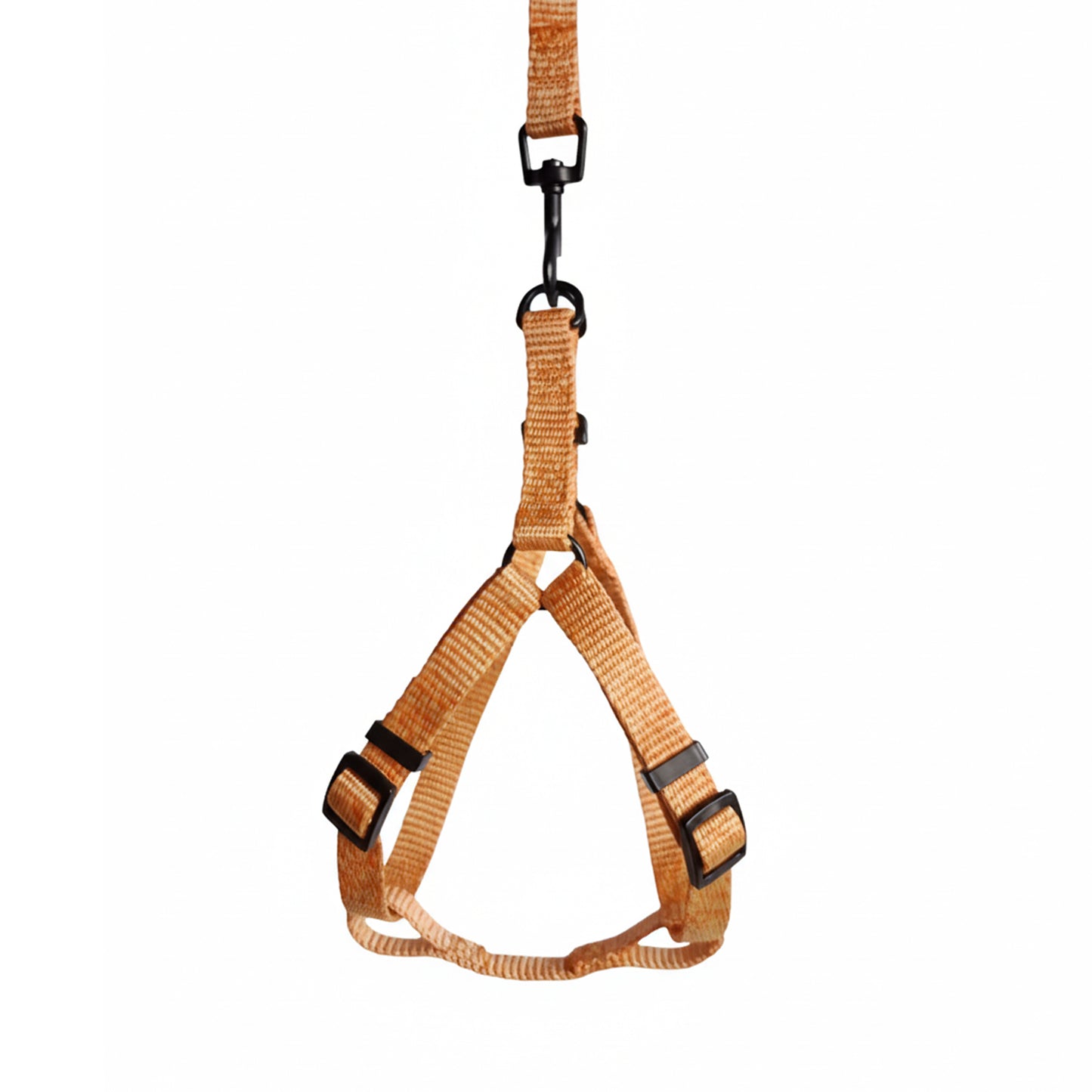 ARNES Y CORREA EN REATA AMARILLO