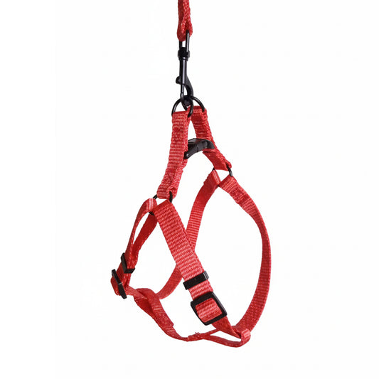 ARNES Y CORREA EN REATA SALMON