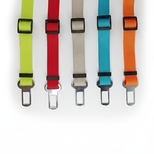 CINTURON DE SEGURIDAD