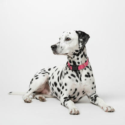 COLLAR EN REATA FUCSIA