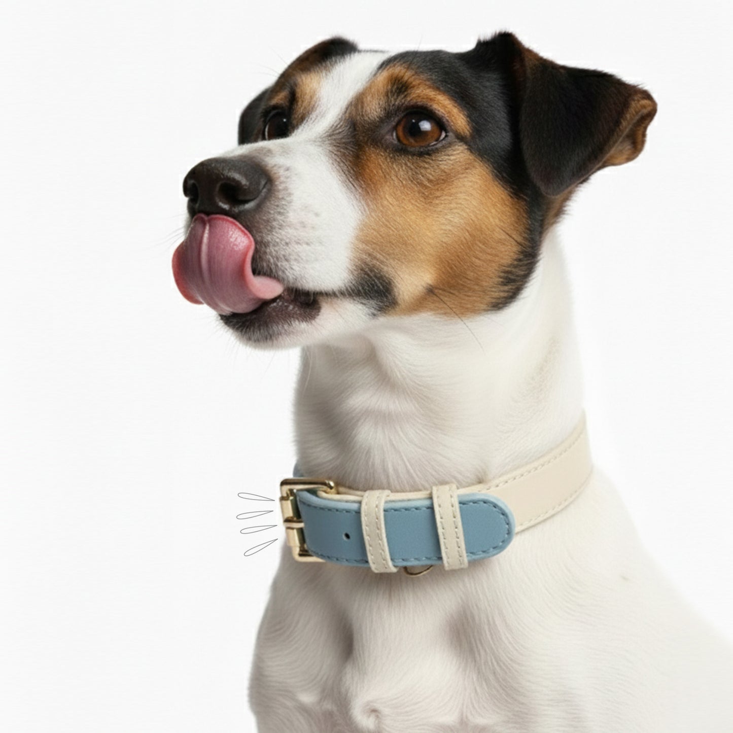 Collar en Cuero Azul