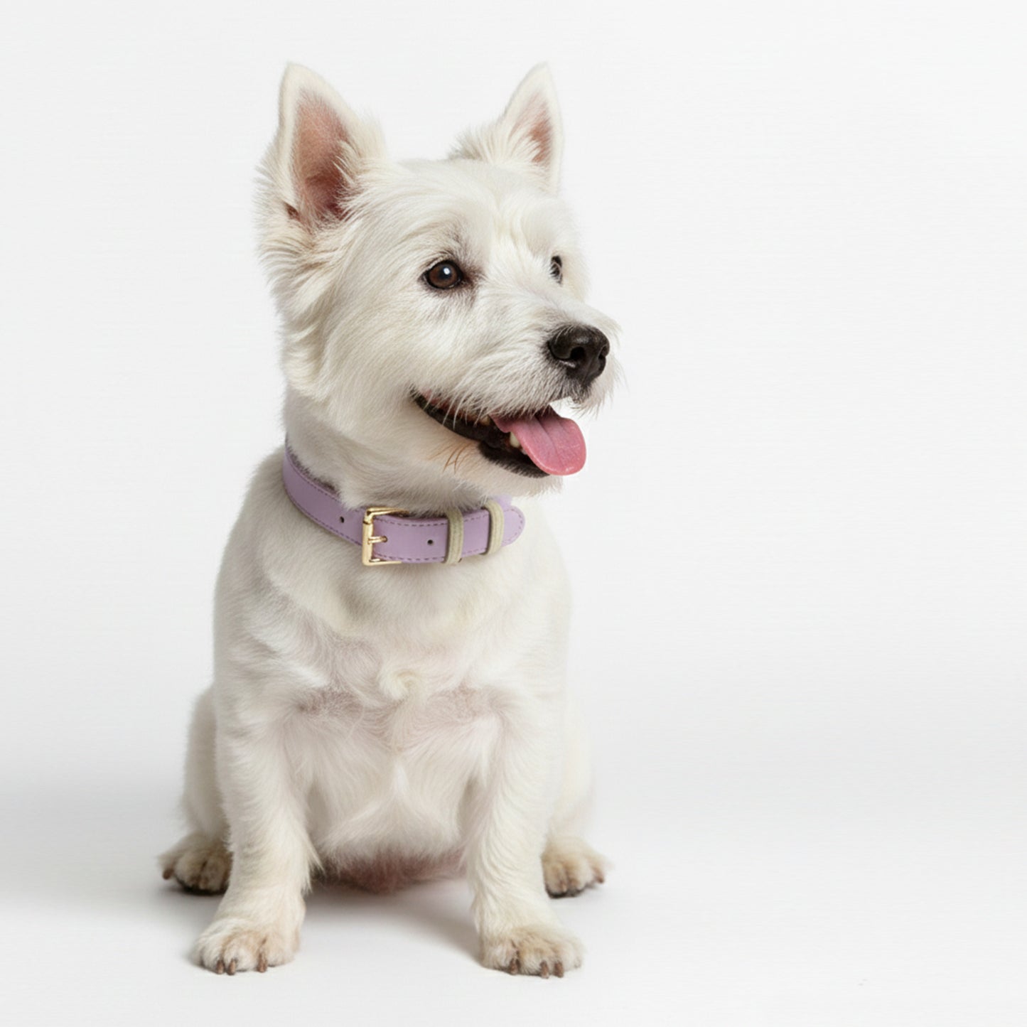 Collar en Cuero Lila