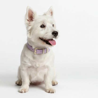 Collar en Cuero Lila