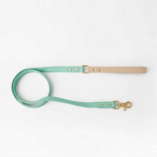 Correa en Cuero Verde Menta