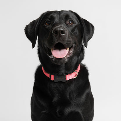 COLLAR EN REATA SALMON