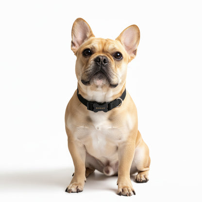 COLLAR EN REATA NEGRO