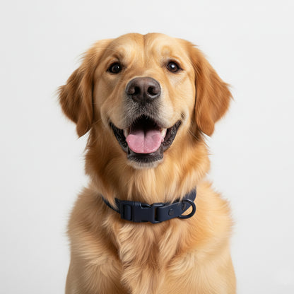 COLLAR WATER AZUL NAUTICO