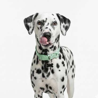 COLLAR WATER VERDE MENTA