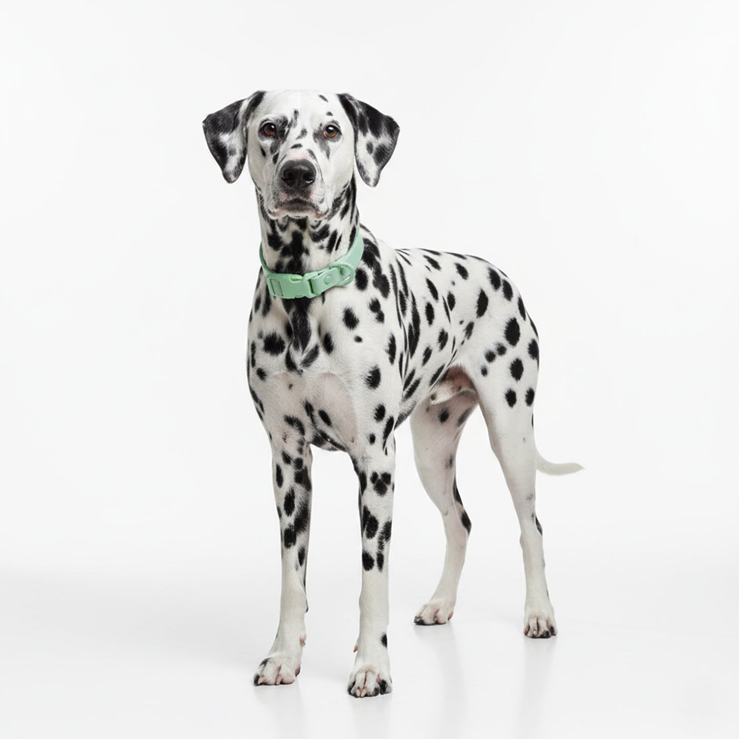 COLLAR WATER VERDE MENTA