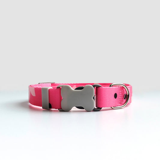 COLLAR Y CORREA EN REATA FUCSIA