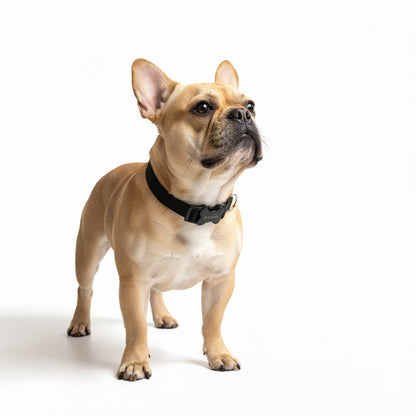 COLLAR EN REATA NEGRO