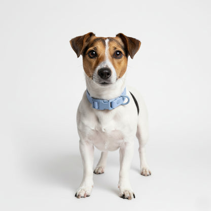 COLLAR WATER AZUL CELESTE