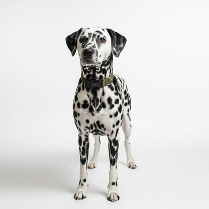 COLLAR EN REATA VERDE MILITAR