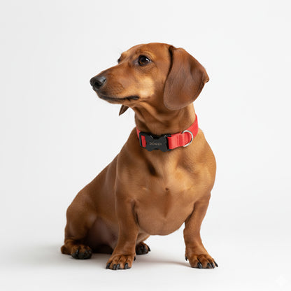 COLLAR EN REATA ROJO