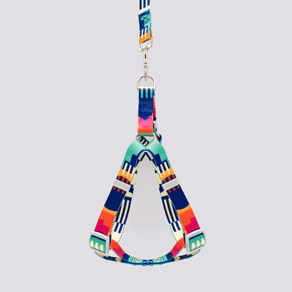 Set Arnés y Correa en Reata Line