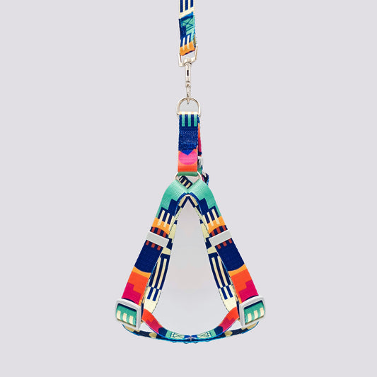 Set Arnés y Correa en Reata Line