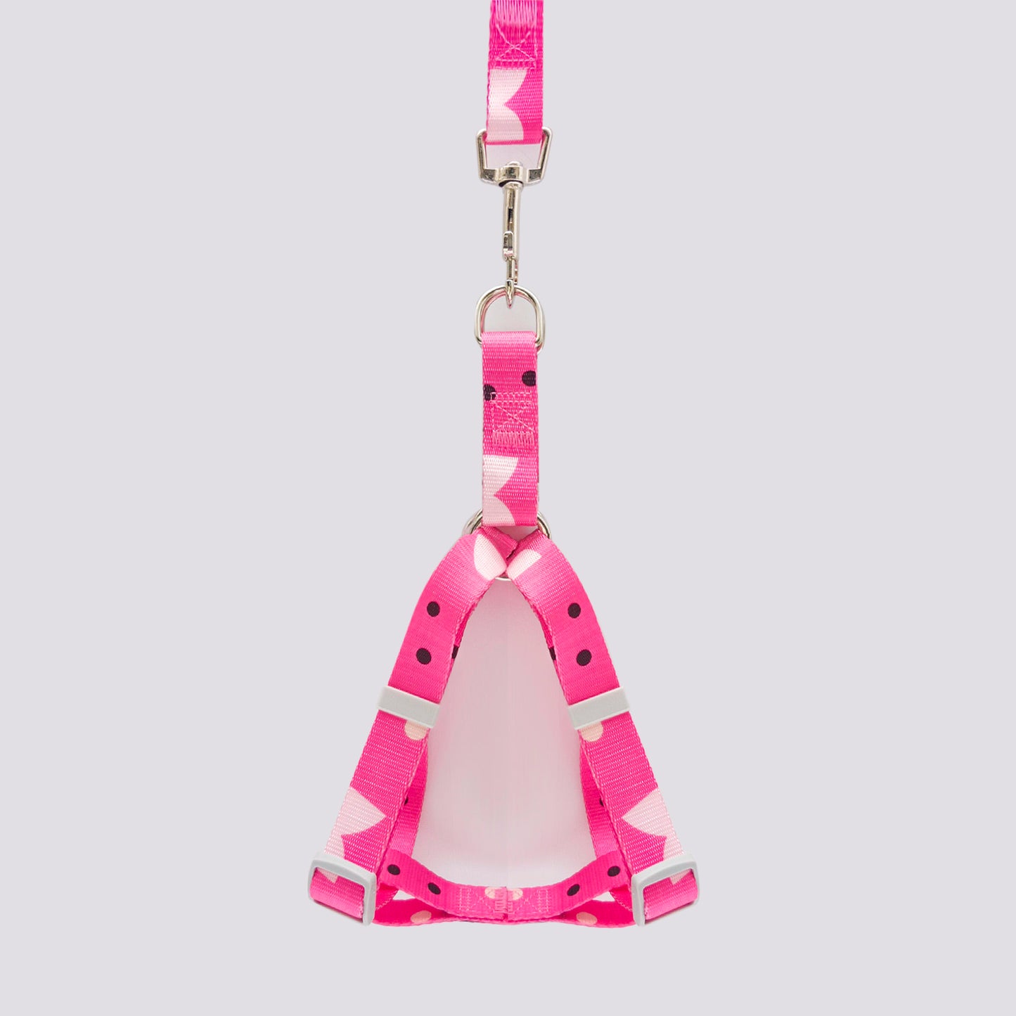 Set Arnés y Correa en Reata Fucsia