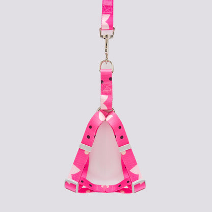 Set Arnés y Correa en Reata Fucsia