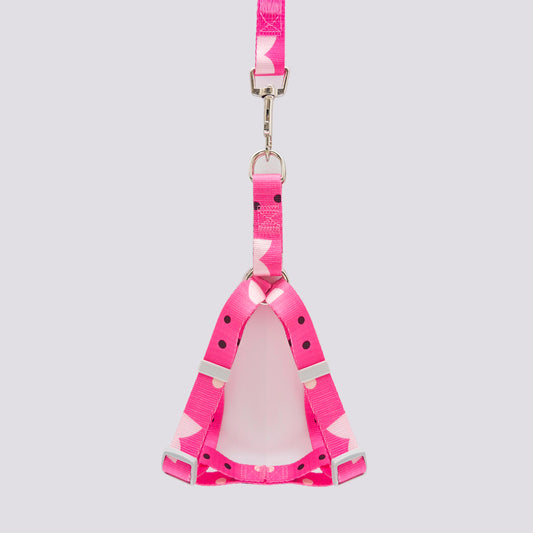 Set Arnés y Correa en Reata Fucsia