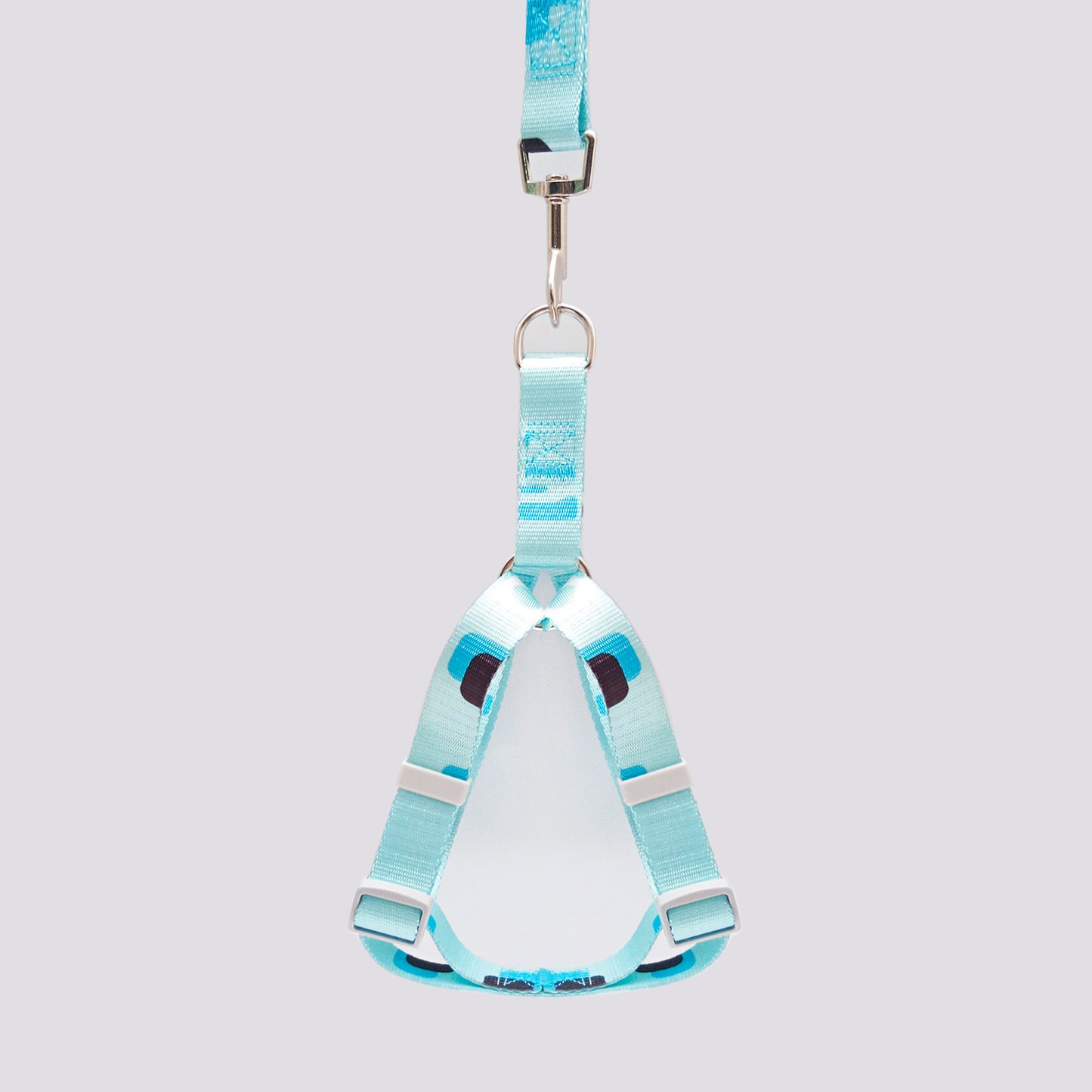 Set Arnés y Correa en Reata Celeste