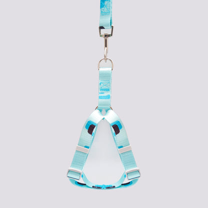 Set Arnés y Correa en Reata Celeste