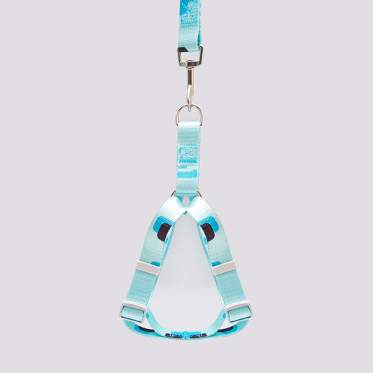 Set Arnés y Correa en Reata Celeste