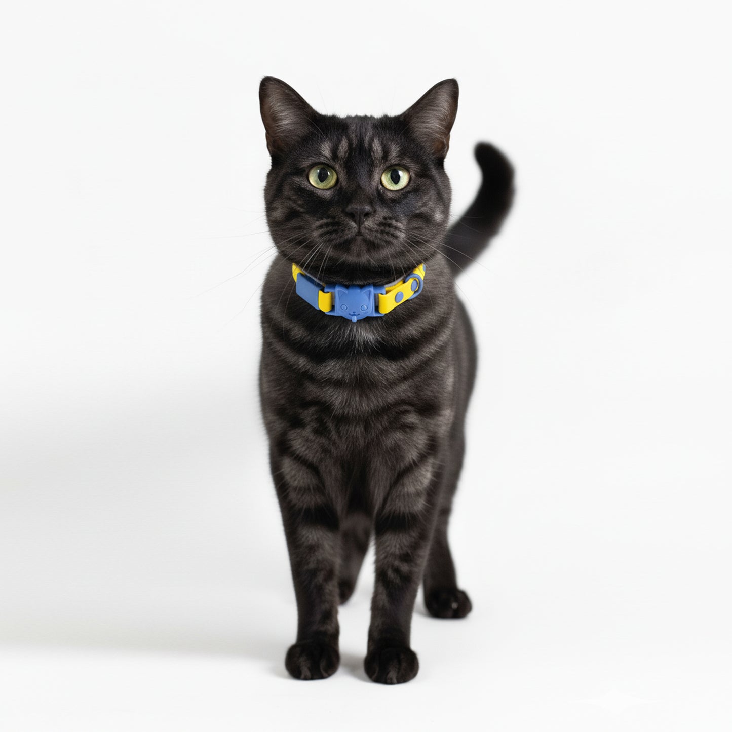 COLLAR CON SUELTE RÁPIDO  AMARILLO