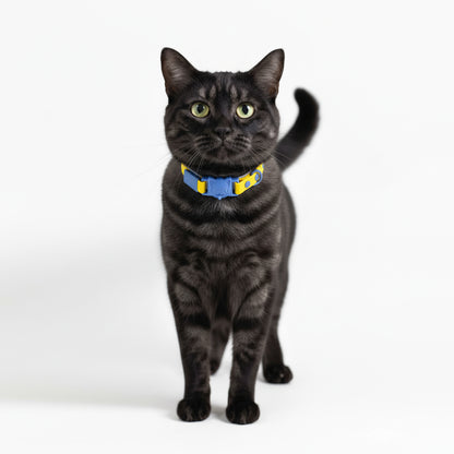 COLLAR CON SUELTE RÁPIDO  AMARILLO