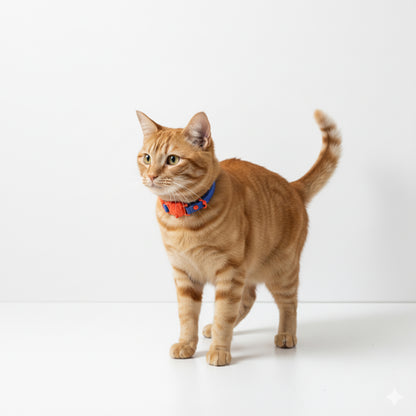 COLLAR CON SUELTE RÁPIDO AZUL OSCURO - NARANJA