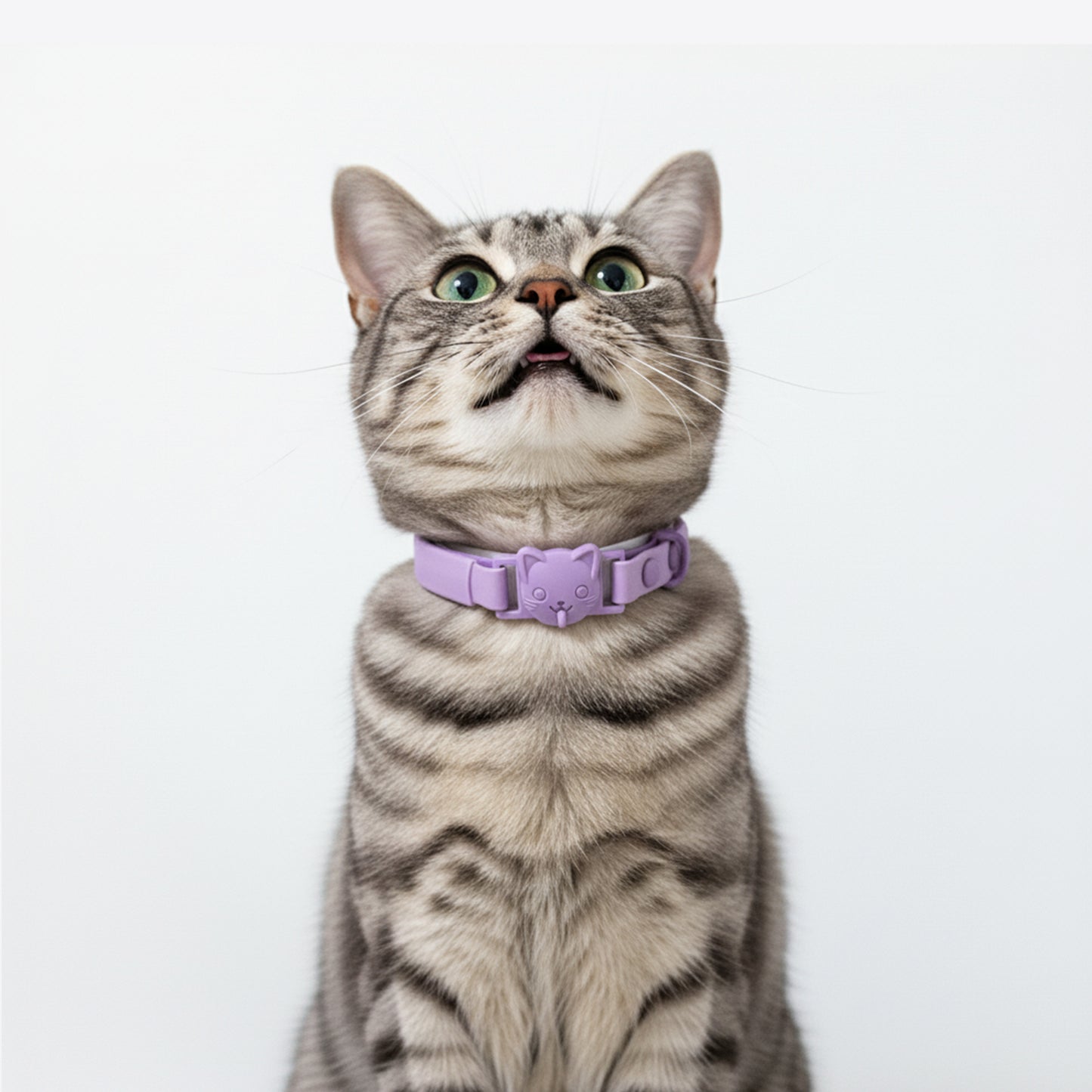 COLLAR CON SUELTE RÁPIDO MORADO