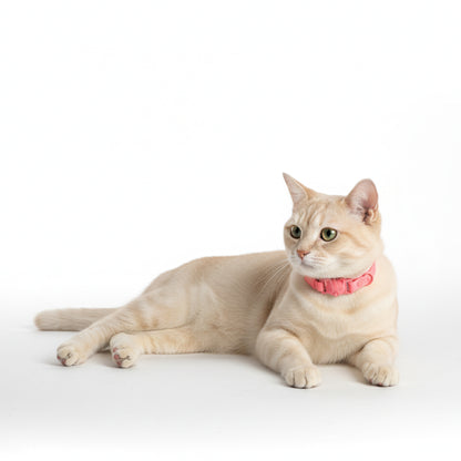 COLLAR CON SUELTE RÁPIDO SALMON