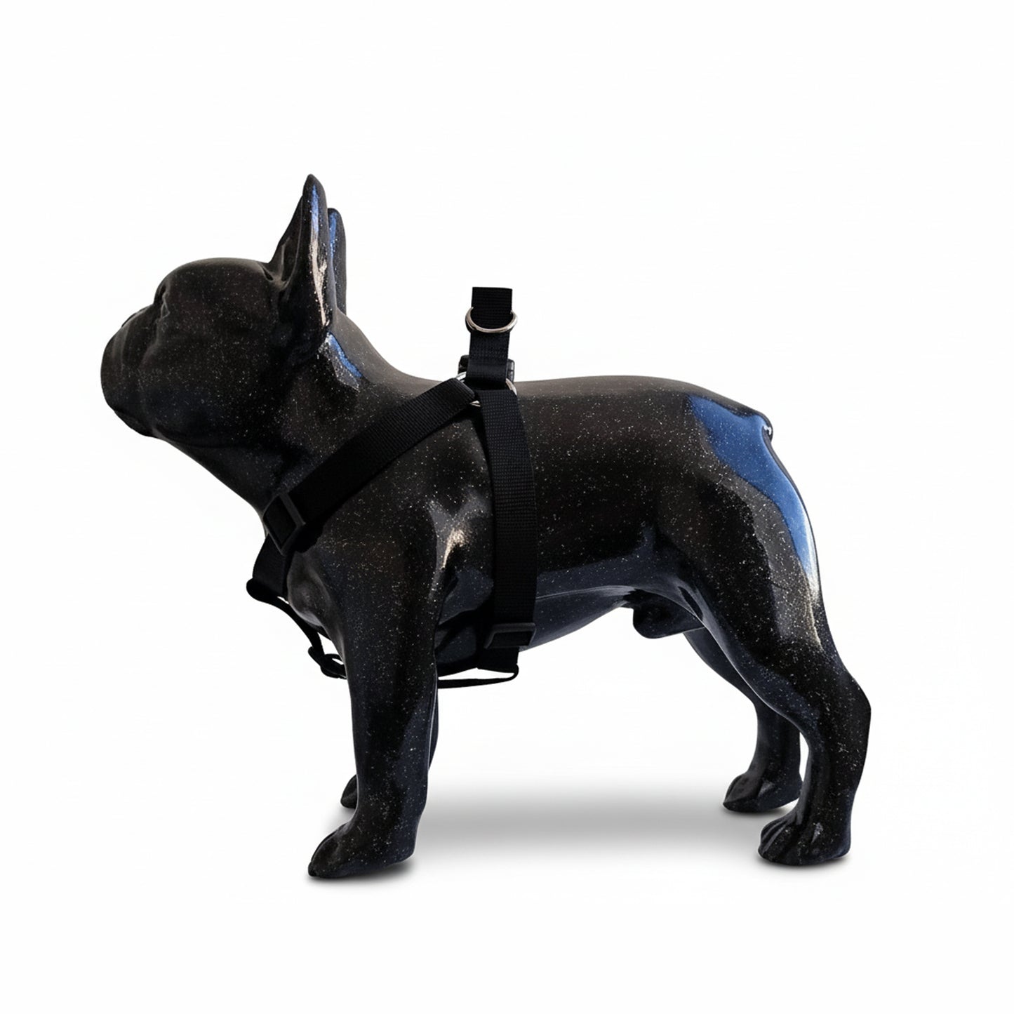 ARNES EN REATA NEGRO