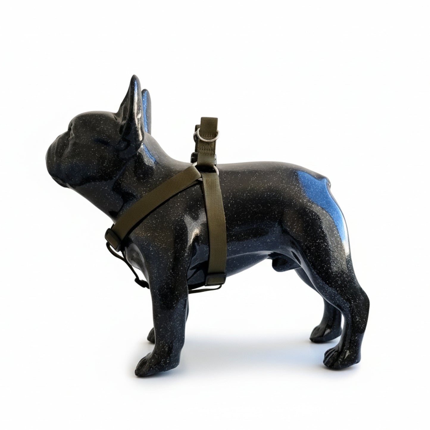 ARNES EN REATA VERDE MILITAR