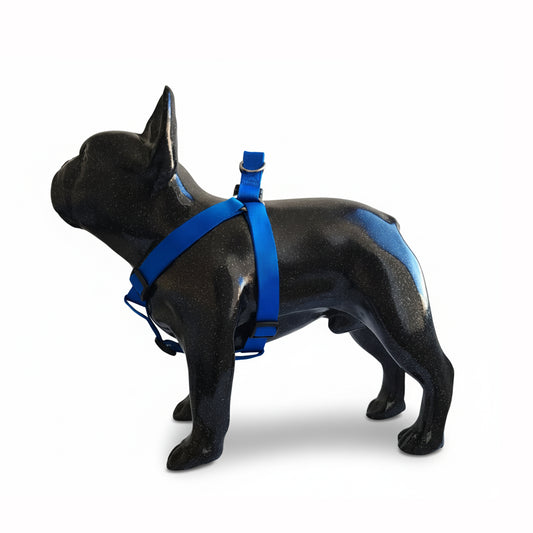 ARNES EN REATA AZUL OSCURO