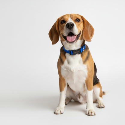 COLLAR EN REATA AZUL OSCURO