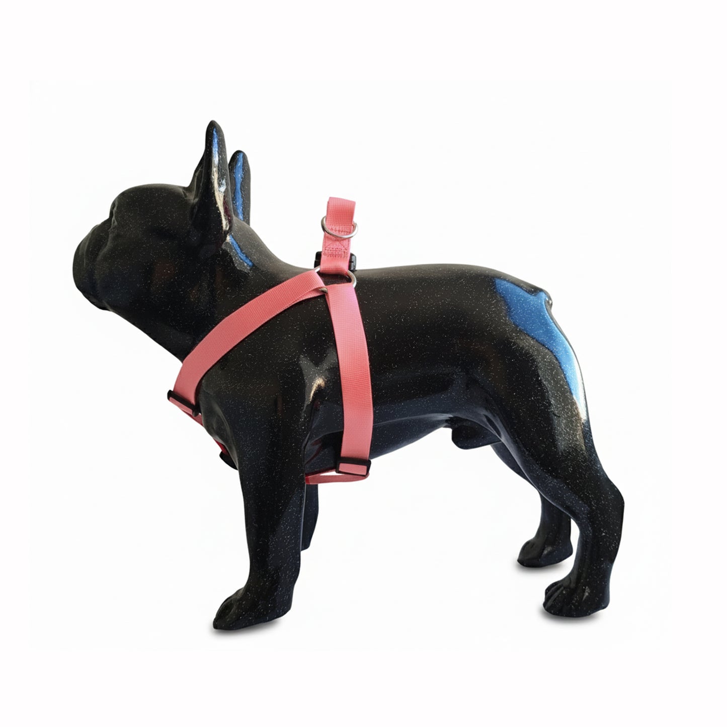 ARNES EN REATA SALMON