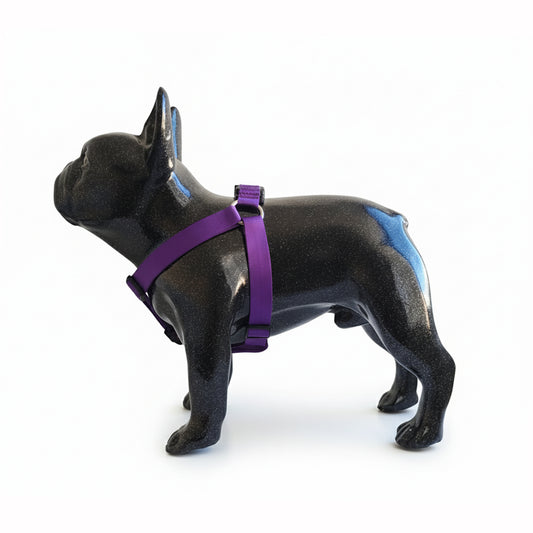 ARNES EN REATA MORADO