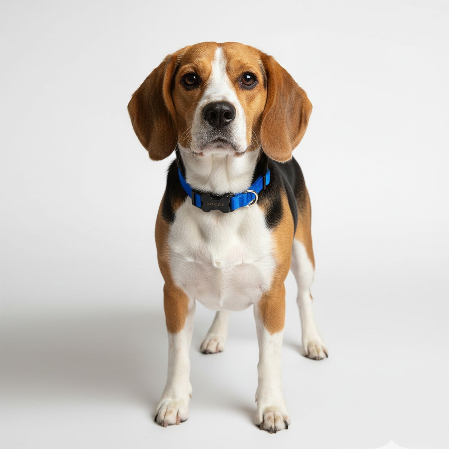 COLLAR EN REATA AZUL OSCURO