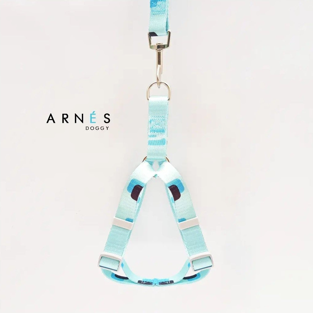 ARNES Y CORREA EN REATA AZUL CELESTE