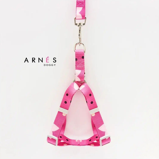 ARNES Y CORREA EN REATA FUCSIA